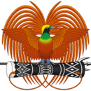 Department Of Provincial and Local Government Affairs Logo